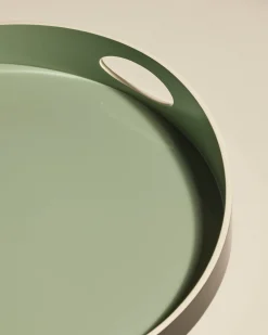 Plateau Basile - Pousse de Tilleul